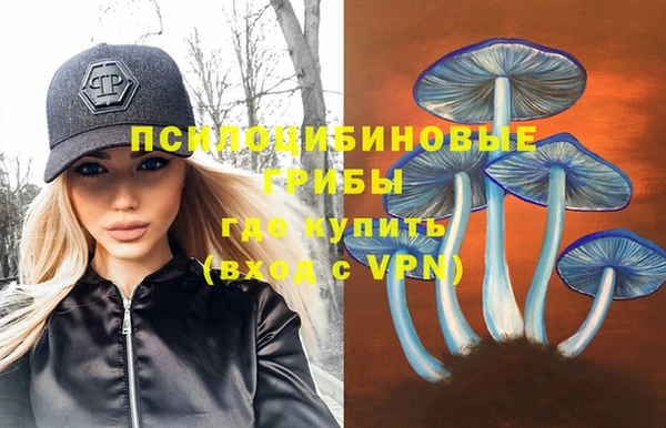 ешки Бугульма