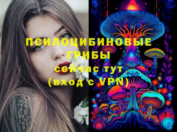 ешки Бугульма