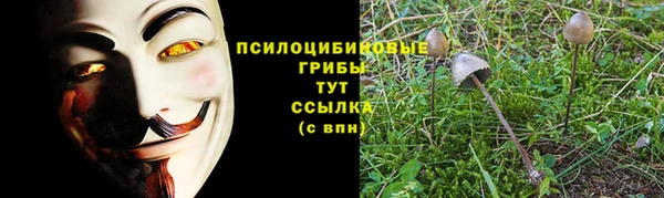 ешки Бугульма
